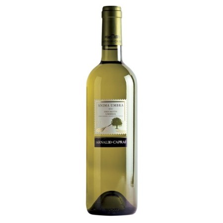 Anima Umbra Umbria Grechetto IGT